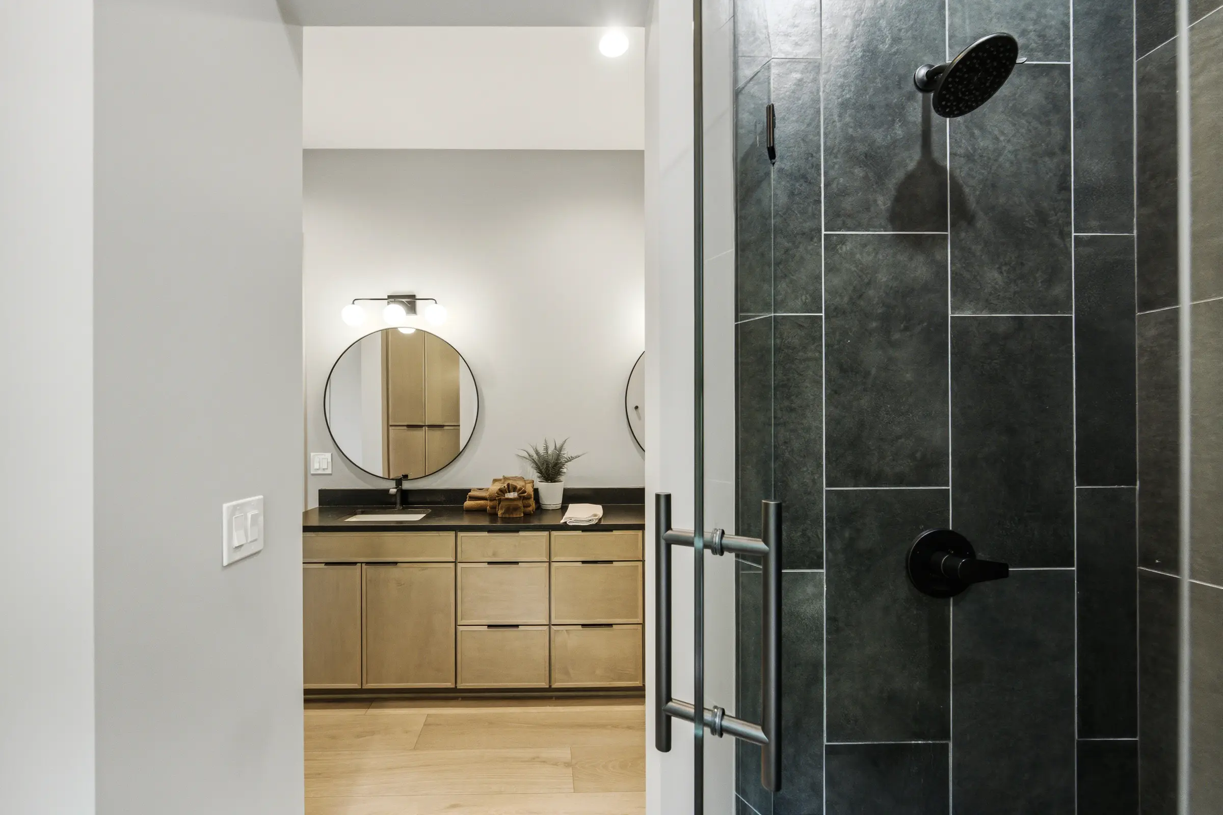 Dark stone shower framed through the bright primary bathroom