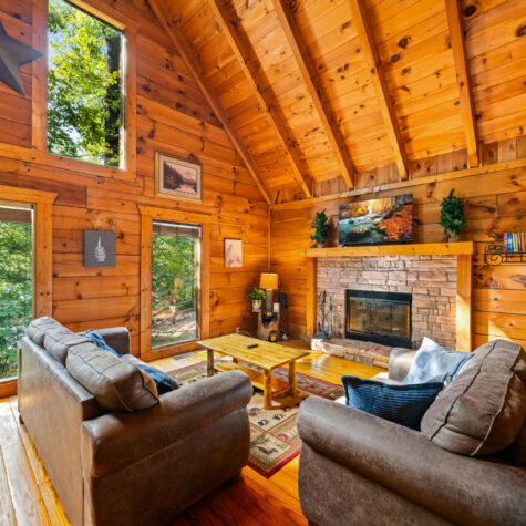 1245-Secona-Way-Pigeon-Forge-TN-10