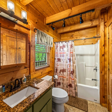 1481-Honey-Oaks-Way-Sevierville-TN-9