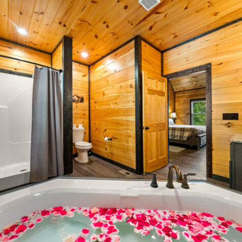 1527-Bear-Valley-Rd-Sevierville-TN-26