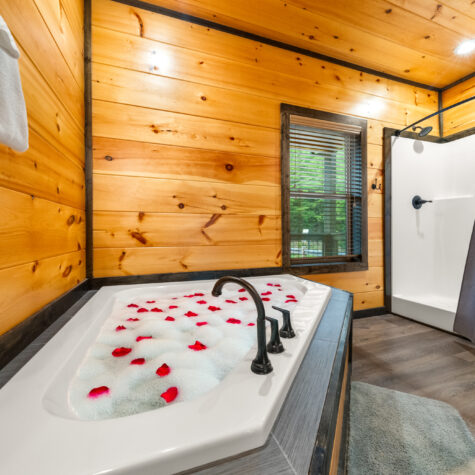 1527-Bear-Valley-Rd-Sevierville-TN-28