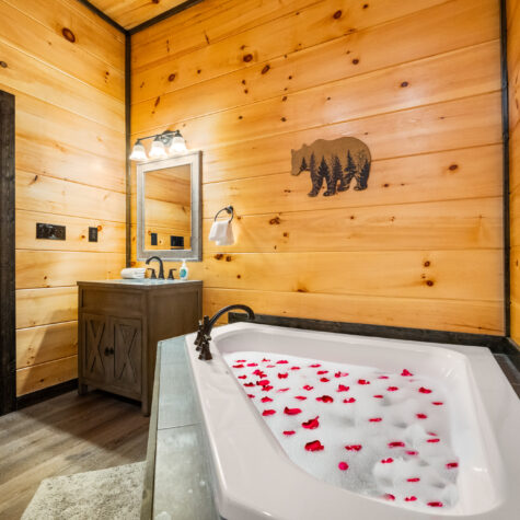 1527-Bear-Valley-Rd-Sevierville-TN-51