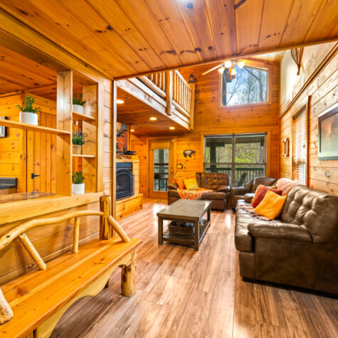 1624-Little-Brook-Way-Sevierville-TN-9