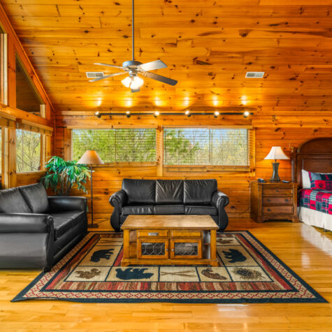 2305-Rand-Rd-Pigeon-Forge-TN-18