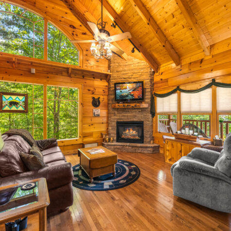 2746-Cedar-Falls-Way-Sevierville-TN-13