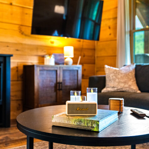 4168-Paint-Horse-Way-Sevierville-TN-18