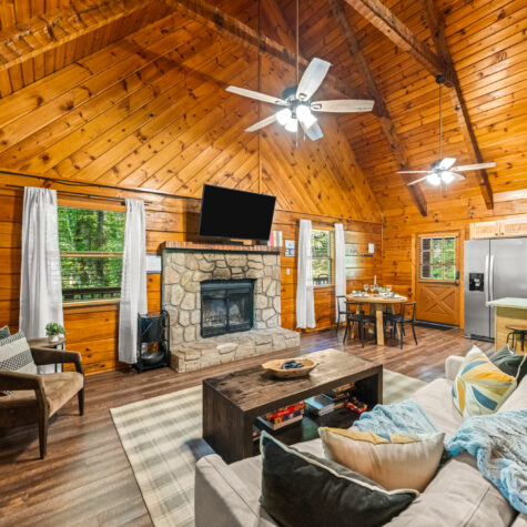 4372-Boogertown-Rd-2-Pigeon-Forge-TN-5