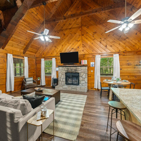 4372-Boogertown-Rd-2-Pigeon-Forge-TN-6