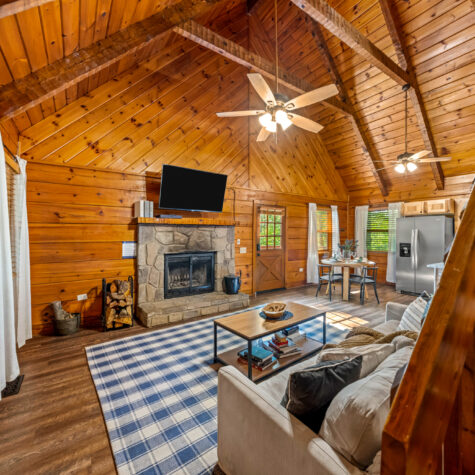 4372-Boogertown-Rd-4-Pigeon-Forge-TN-5