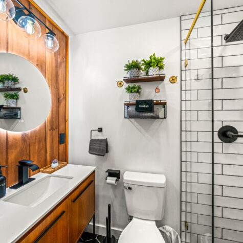 4703-Tiger-Lilly-Dr-Cosby-TN-14