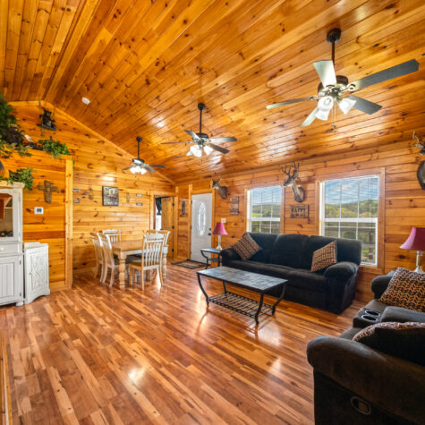 878-Little-Sycamore-Rd-Tazewell-TN-4