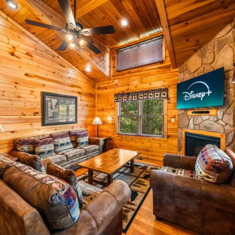 906-Park-Vista-Way-Gatlinburg-TN-7