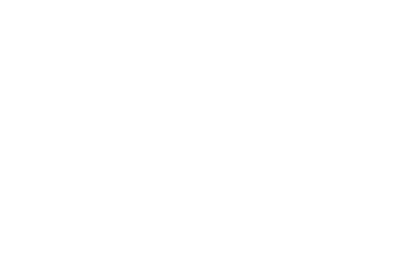 Brad Capone