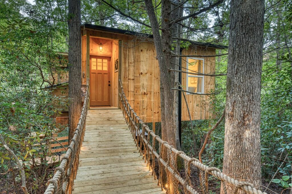 Unique Spaces: Tree House