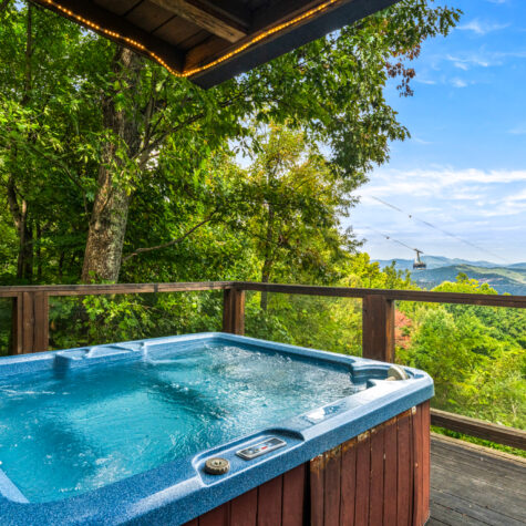 1455-Arbon-Dr-Gatlinburg-TN-17