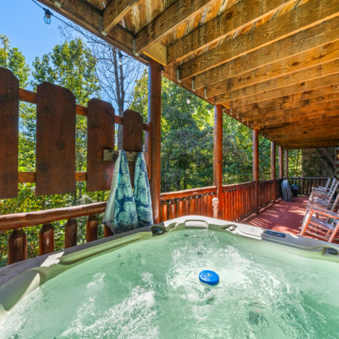 1642-Kissing-Way-Sevierville-TN-21