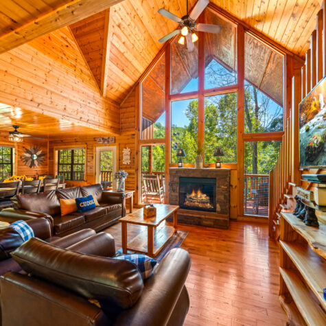 1642-Kissing-Way-Sevierville-TN-46