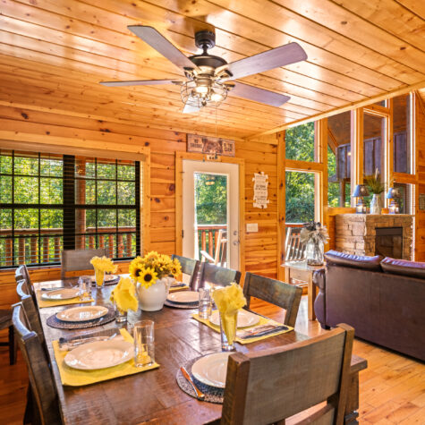 1642-Kissing-Way-Sevierville-TN-54