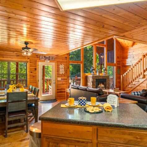 1642-Kissing-Way-Sevierville-TN-59