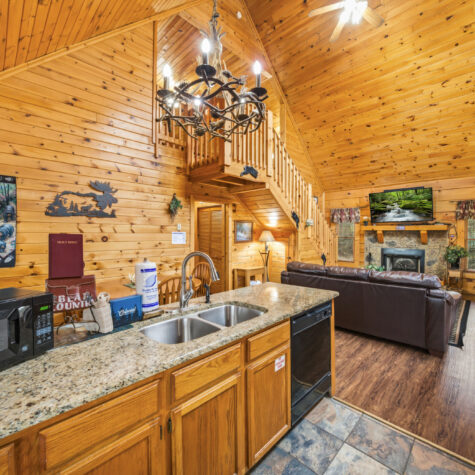 1824-Trout-Way-Sevierville-TN-48