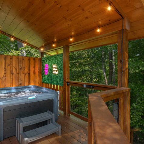 2233-Lone-Eagle-Dr-Sevierville-TN-D-3