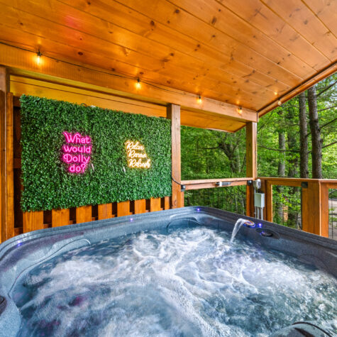 2385-Forge-Hideaway-Loop-2-Pigeon-Forge-TN-11