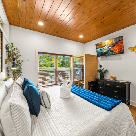 2385-Forge-Hideaway-Loop-2-Pigeon-Forge-TN-27