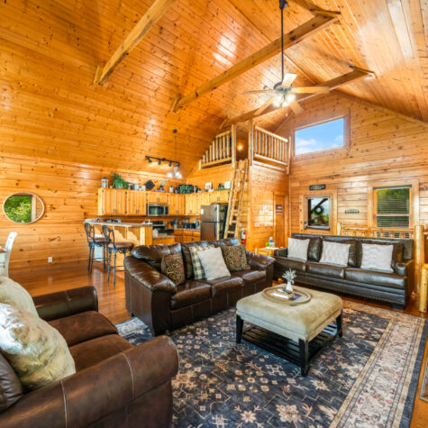 2966-Legacy-Vista-Dr-Sevierville-TN-7