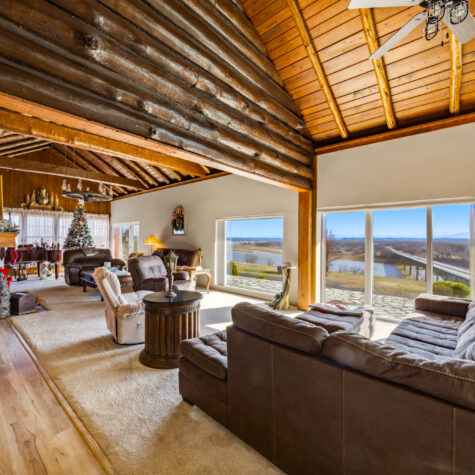 260-TN-113-White-Pine-TN-7