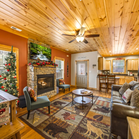 439-Cherokee-Orchard-Rd-Gatlinburg-TN-5