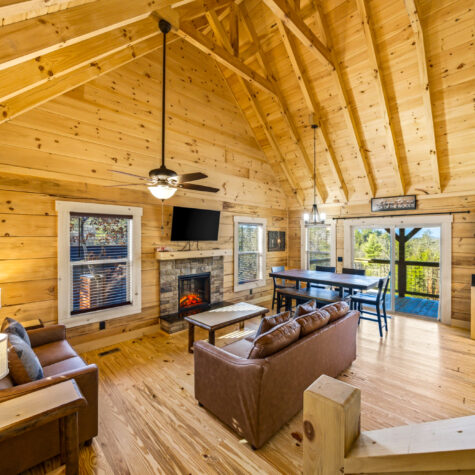 586-Chickasaw-Gap-Way-Pigeon-Forge-TN-3