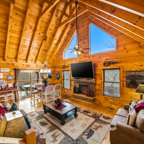 1007-Street-Of-Dreams-Dr-Gatlinburg-TN-10