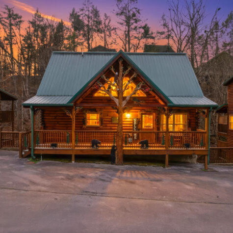 551-Blackberry-Rdg-Wy-Pigeon-Forge-TN-1